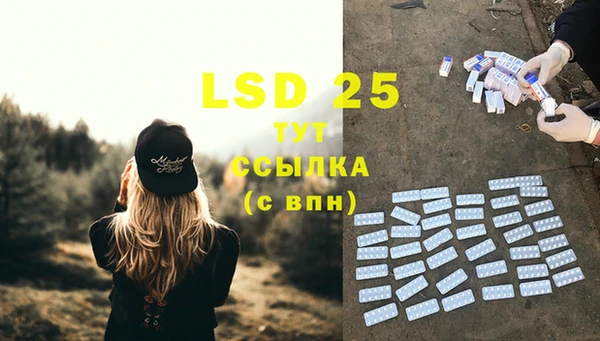 PSILOCYBIN Липки