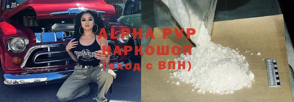 PSILOCYBIN Липки
