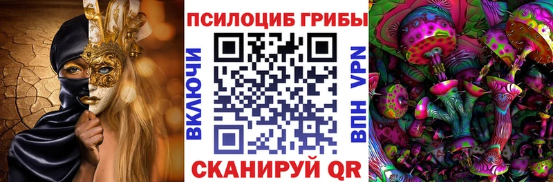 Купить где  Отрадная  Галлюциногенные грибы Psilocybine cubensis 